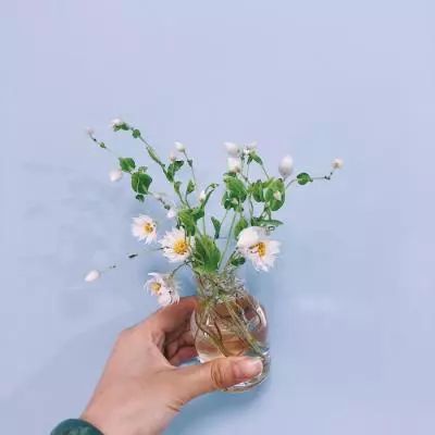 bsport体育在线登录